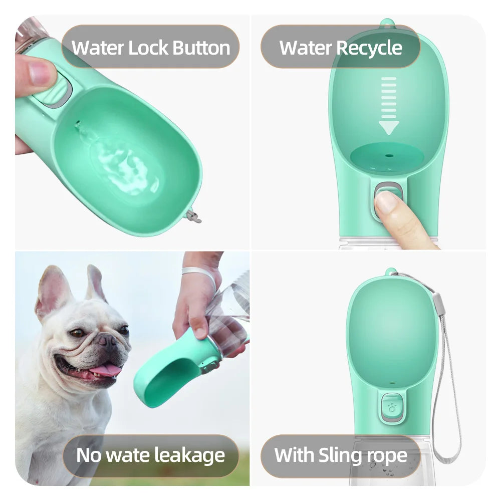 PawHydrate Bottle