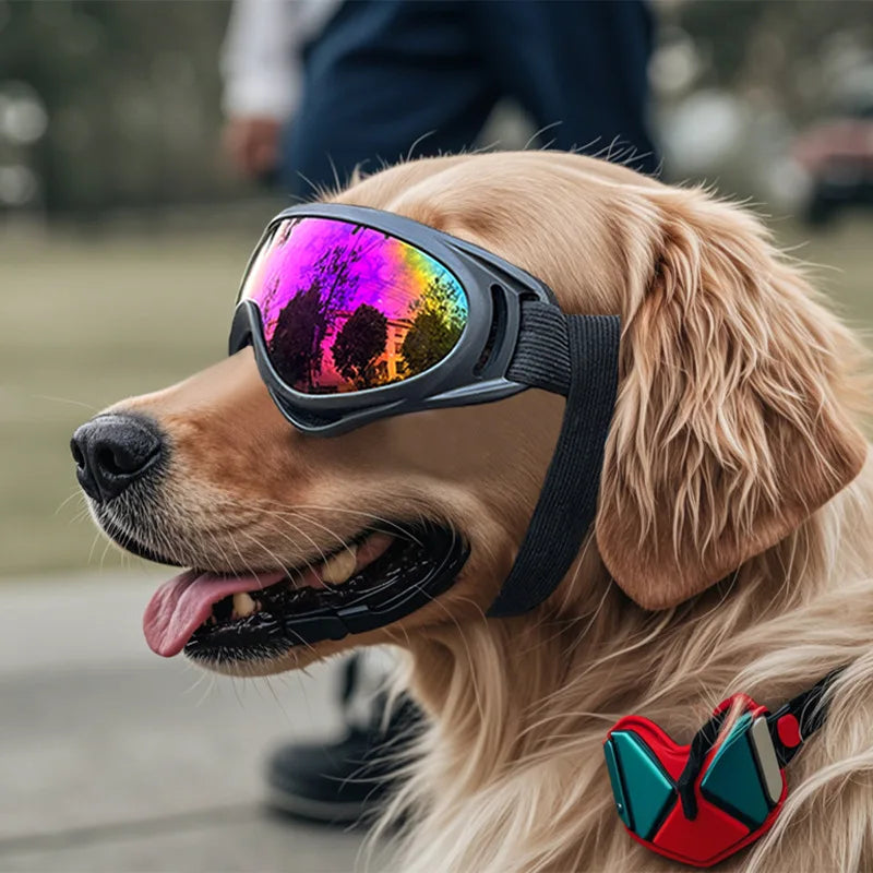 Pawtint™ Dog Goggle