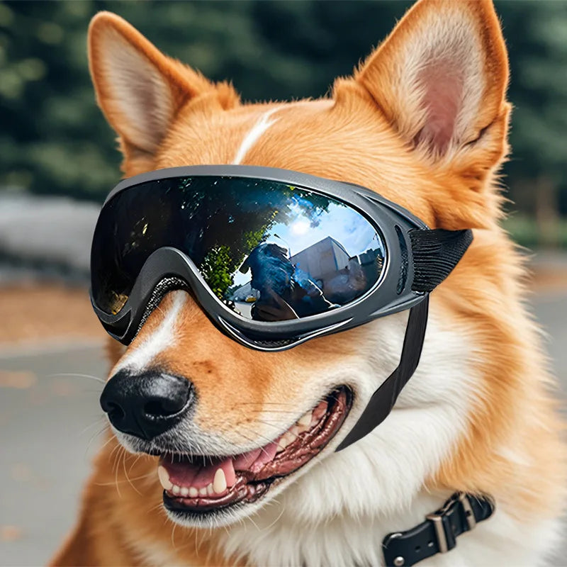 Pawtint™ Dog Goggle