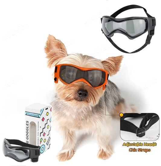 PupShades – UV Goggles for Dogs