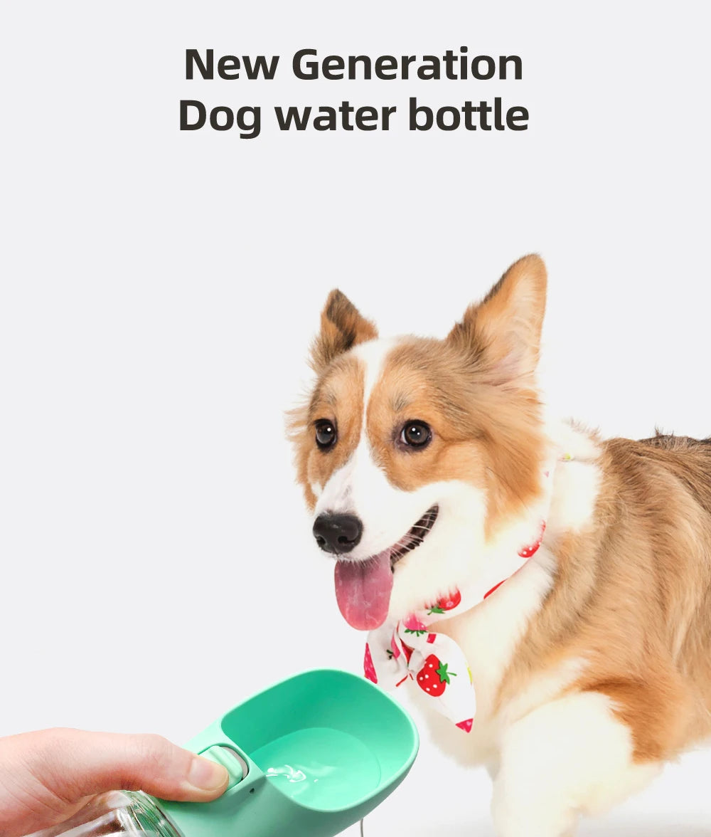 PawHydrate Bottle