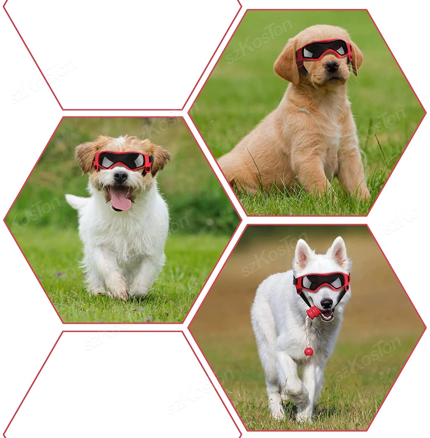 PupShades – UV Goggles for Dogs