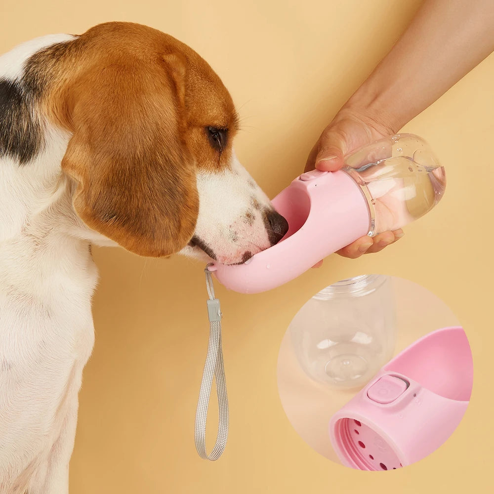 PawHydrate Bottle