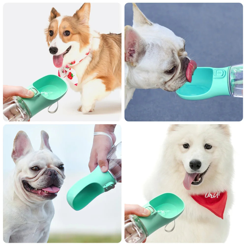 PawHydrate Bottle