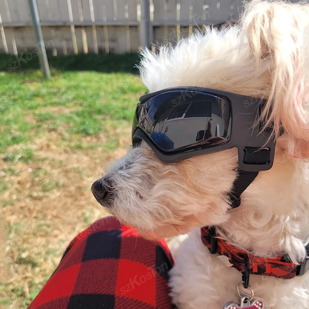 PupShades – UV Goggles for Dogs